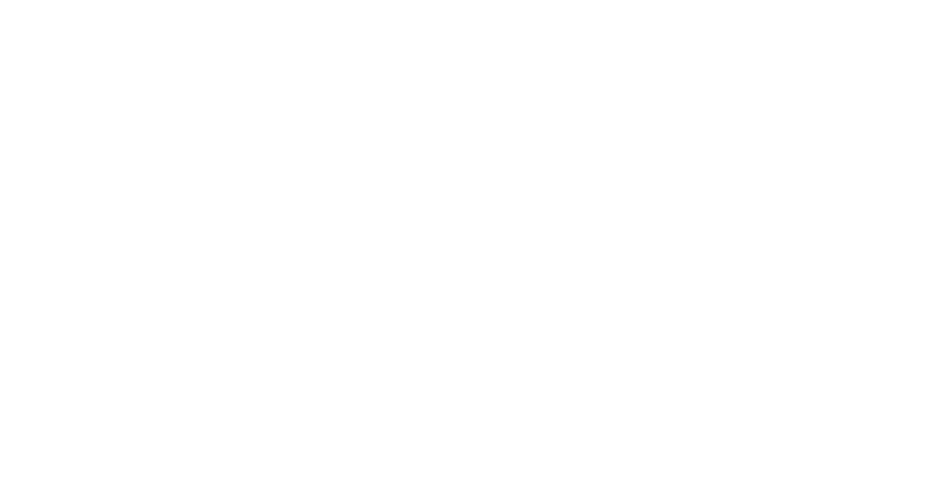 The Auld Dubliner