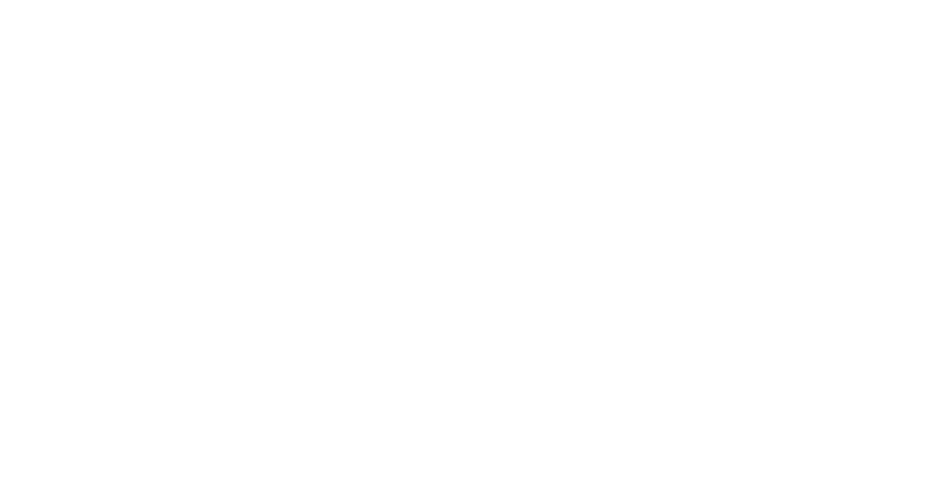 Level 10