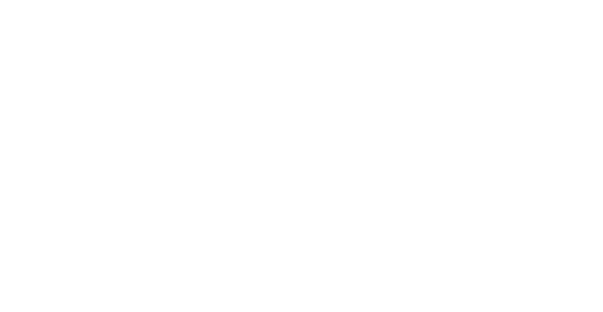 Trein FC